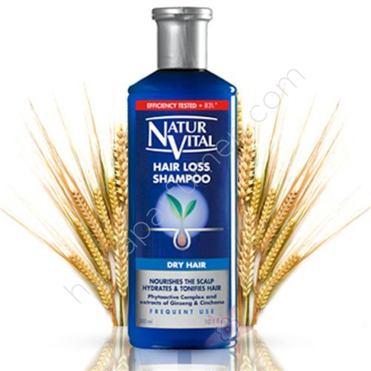 NaturVital HairLoss Şampuan - Kuru saçlar için 300 ml